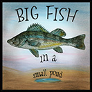 Big Fish in a Small Pond - From the 1800’s: This refers to someone with a lot of potential and talent, 