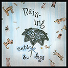Raining Cats and Dogs - Used in 1653, when Richard Brome’s comedy The Woman Wears the Breeches referred to stormy weather with the line: “It shall raine... Dogs and Polecats”.